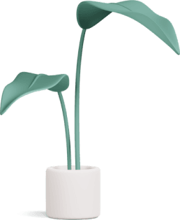 plant.png plant.png